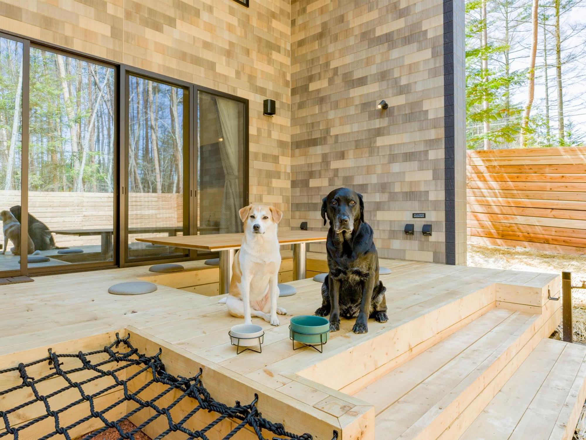 Rakuten Stay Villa Fujikawaguchiko Forest Екстериор снимка